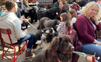 NNR Newfie X-travaganza