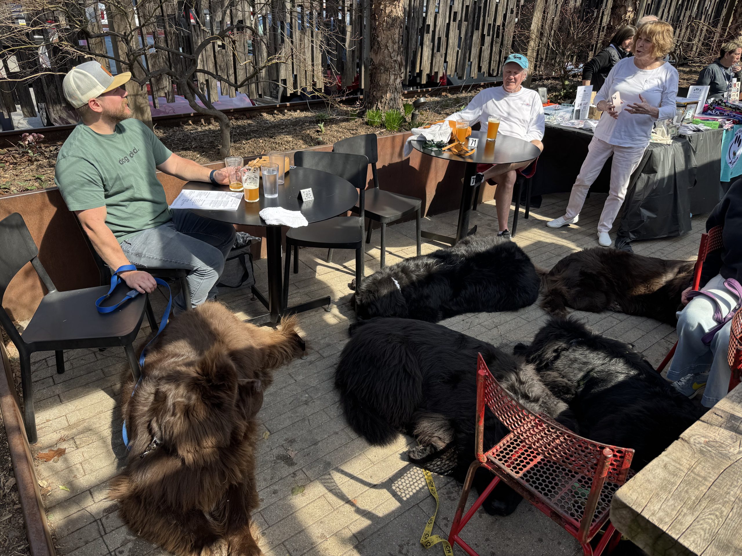 Chestnut Hill Brewing Company Beer Garden Dogs
