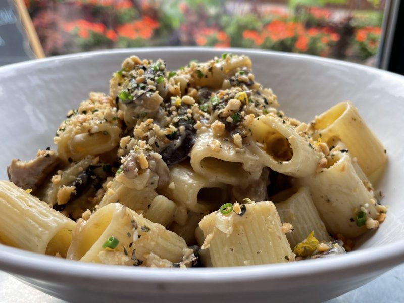 Cauliflower Cream Rigatoni (Vegan!)